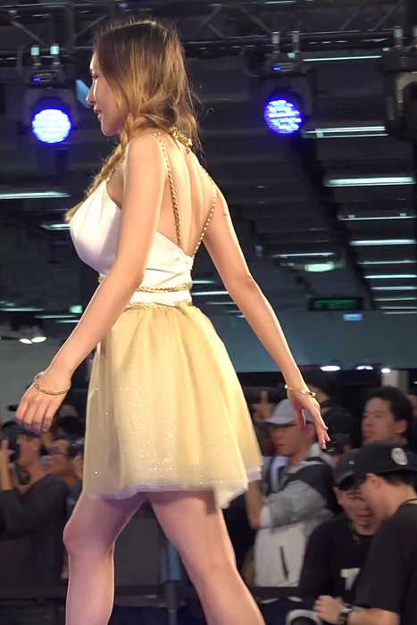 [各类性感视频]ID0167 2017 TSE台湾写真博览会 TSE女郎开场走秀性感时装